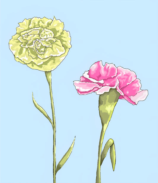 Just a Couple Carnations