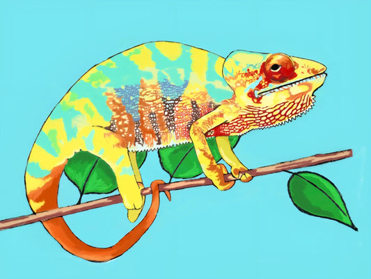 Panther and Veiled Chameleons