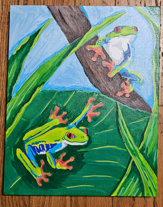 Red Eyed Tree Frogs